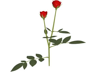 Red Rose 3D Model preview