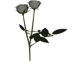 White Rose 3D Model preview