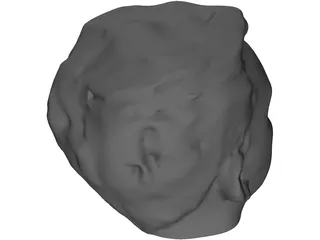 Head Male 3D Model preview