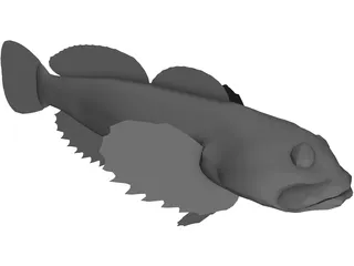 Kazika 3D Model preview