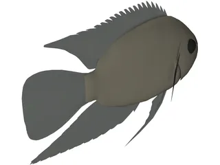 Cichlid 3D Model preview
