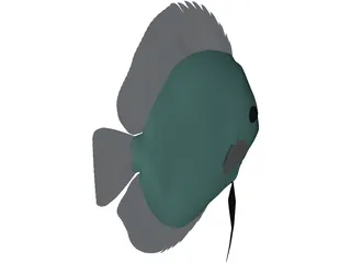 Discus 3D Model preview