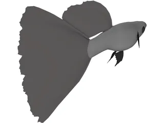 Guppy 3D Model preview
