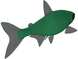 Neon Tetra 3D Model preview
