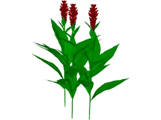Flower 3D Model preview