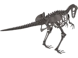 Dinosaur Skeleton 3D Model preview
