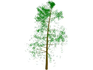 Tree Big 3D Model preview