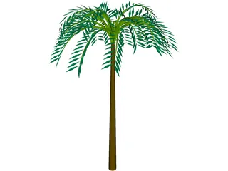 Tree Palm Tropical 3D Model preview