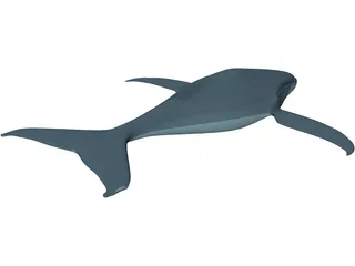 Whale Funny 3D Model preview