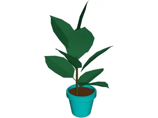 India-Rubber Plant 3D Model preview