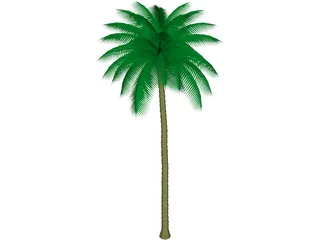 Palm Tree 3D Model preview