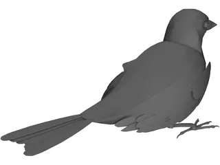 Black Bird 3D Model preview