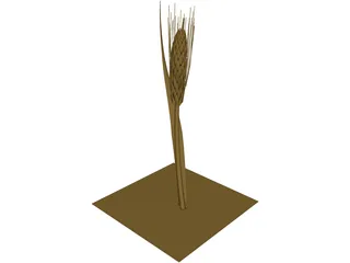 Dried Barley 3D Model preview