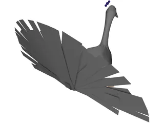 Peacock 3D Model preview