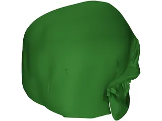 Skull 3D Model preview