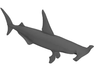 Shark 3D Model preview