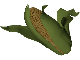 Corn 3D Model preview