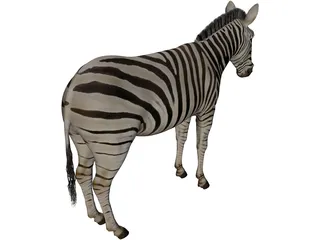 Zebra 3D Model preview