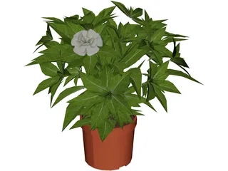 Plant 3D Model preview