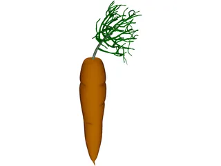 Carrot 3D Model preview