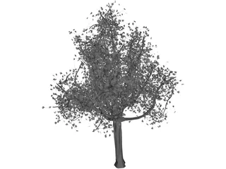 Tree 3D Model preview