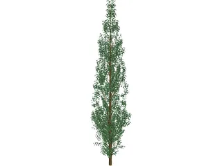 Pine Tree 3D Model preview