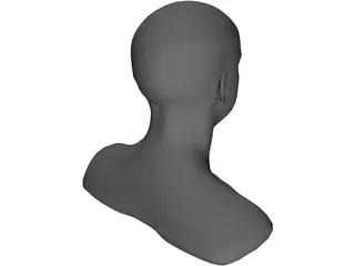 Head 3D Model preview