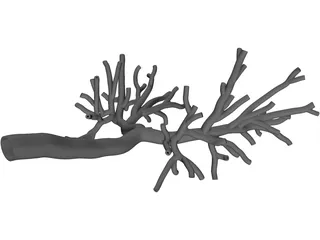 Bronchial Tree Human 3D Model preview