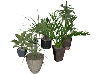 House Plant Collection 3D Model preview