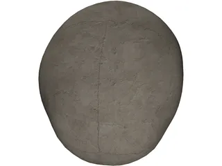 Skull 3D Model preview