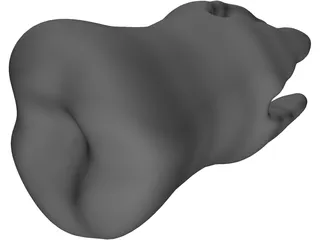 Molar Teeth 3D Model preview