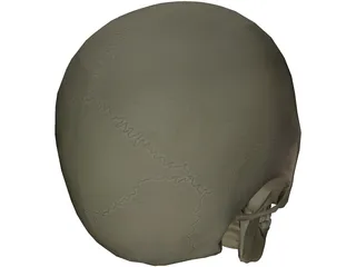Skull 3D Model preview
