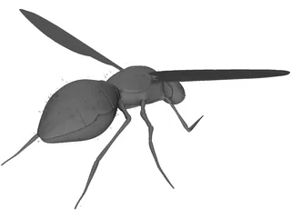Fly 3D Model preview