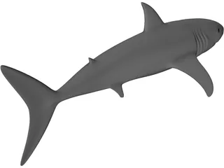 Shark White 3D Model preview