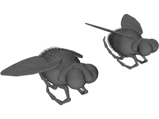 Fly 3D Model preview