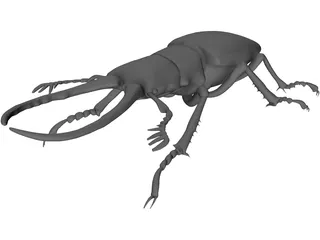 Stag Beetle 3D Model preview