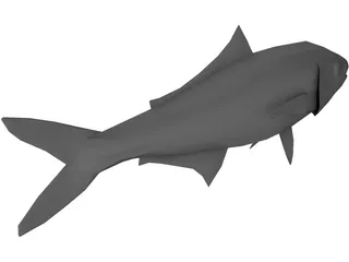 Full Fish 3D Model preview