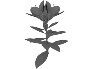 Tutuzi 3D Model preview