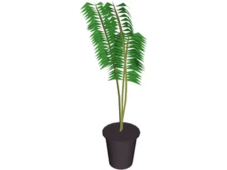 Potted Fern 3D Model preview