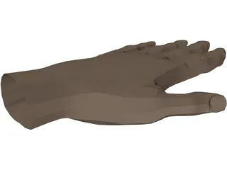 Hand 3D Model preview