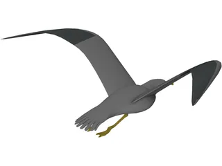 Seagull Flying 3D Model preview