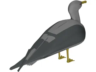 Seagull Standing 3D Model preview