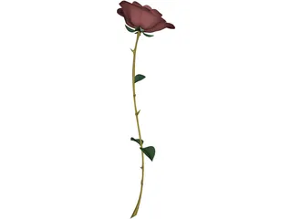 Red Rose 3D Model preview