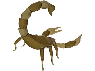 Scorpion - Buthidae Family - Hottentotta Species 3D Model preview