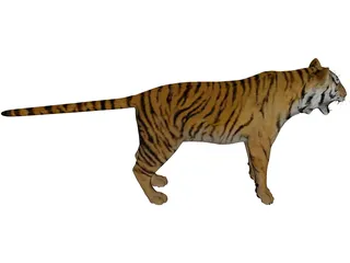 Bengal Tiger 3D Model preview