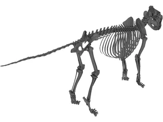 Lion Skeleton 3D Model preview