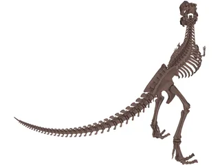 Dinosaur Skeleton 3D Model preview