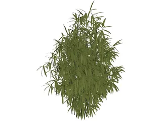 Bamboo Cluster Small 3D Model preview