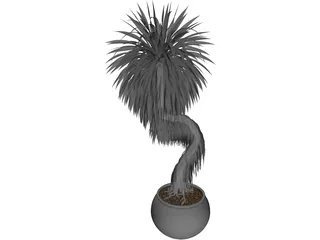 Bonsai Tree 3D Model preview
