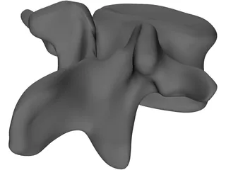 Vertebral Body 3D Model preview